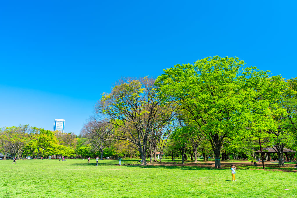 代々木公園がある街