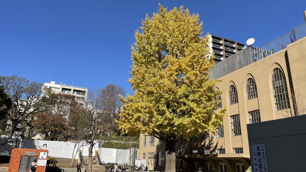 豊かな自然や歴史的な建造物も多く残る