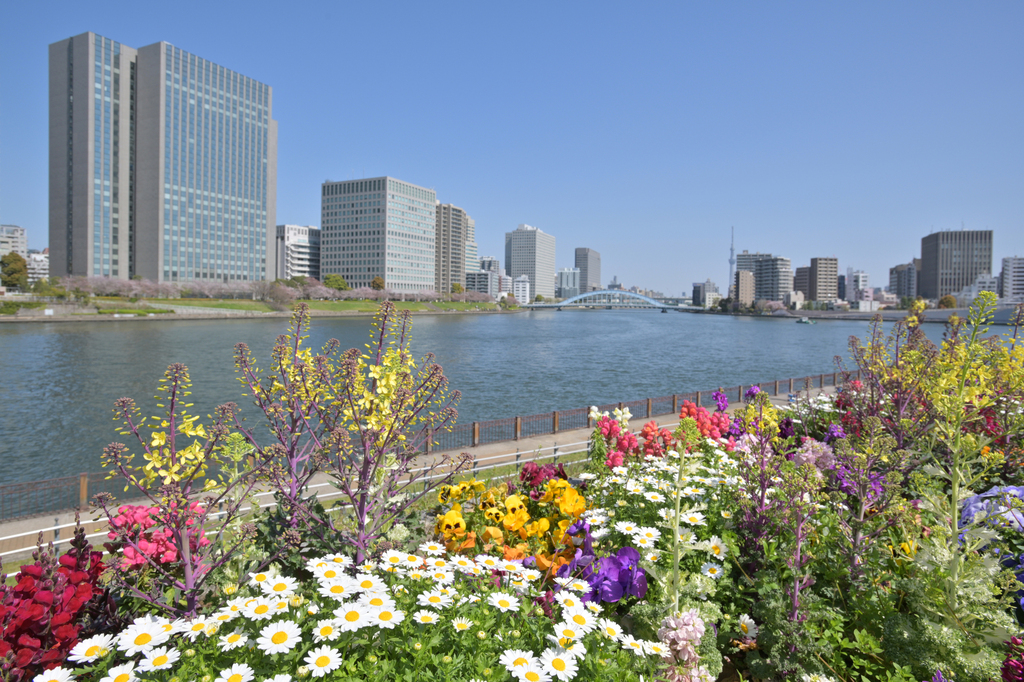 石川島公園