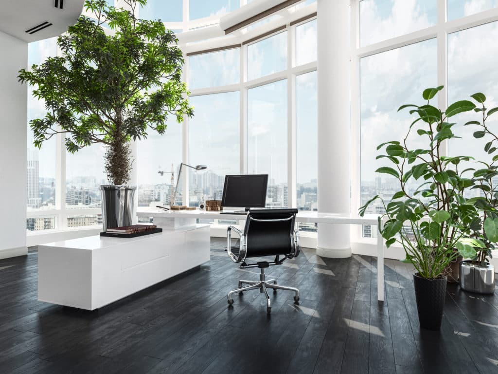 オフィスに観葉植物を置く効果やメリット