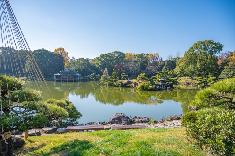 江東区の特徴とは？歴史や交通アクセスについてご紹介 – 東京事務所探しプラス