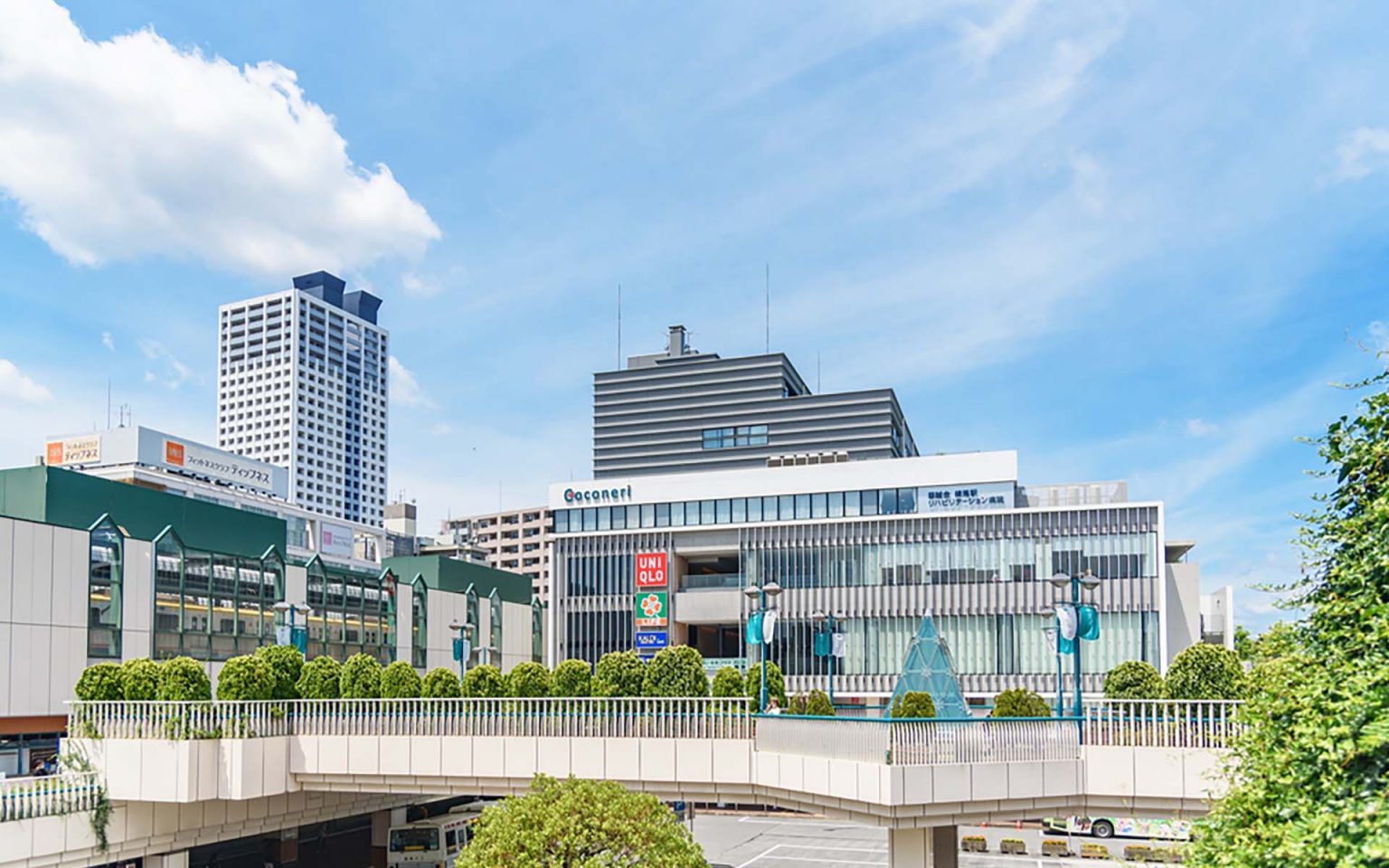 文京区の特徴とは?歴史や交通アクセスについてもご紹介 – 東京事務所探しプラス