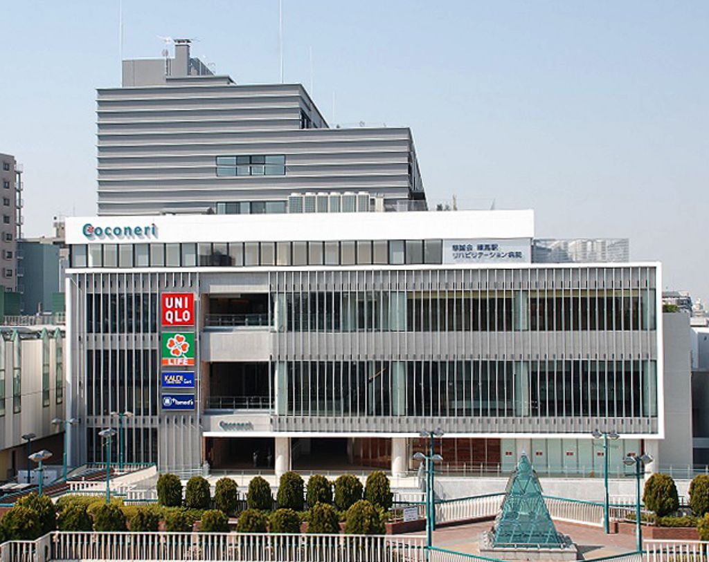 ココネリの画像